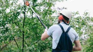 Il lavoro del giardiniere - Jobsnews.it