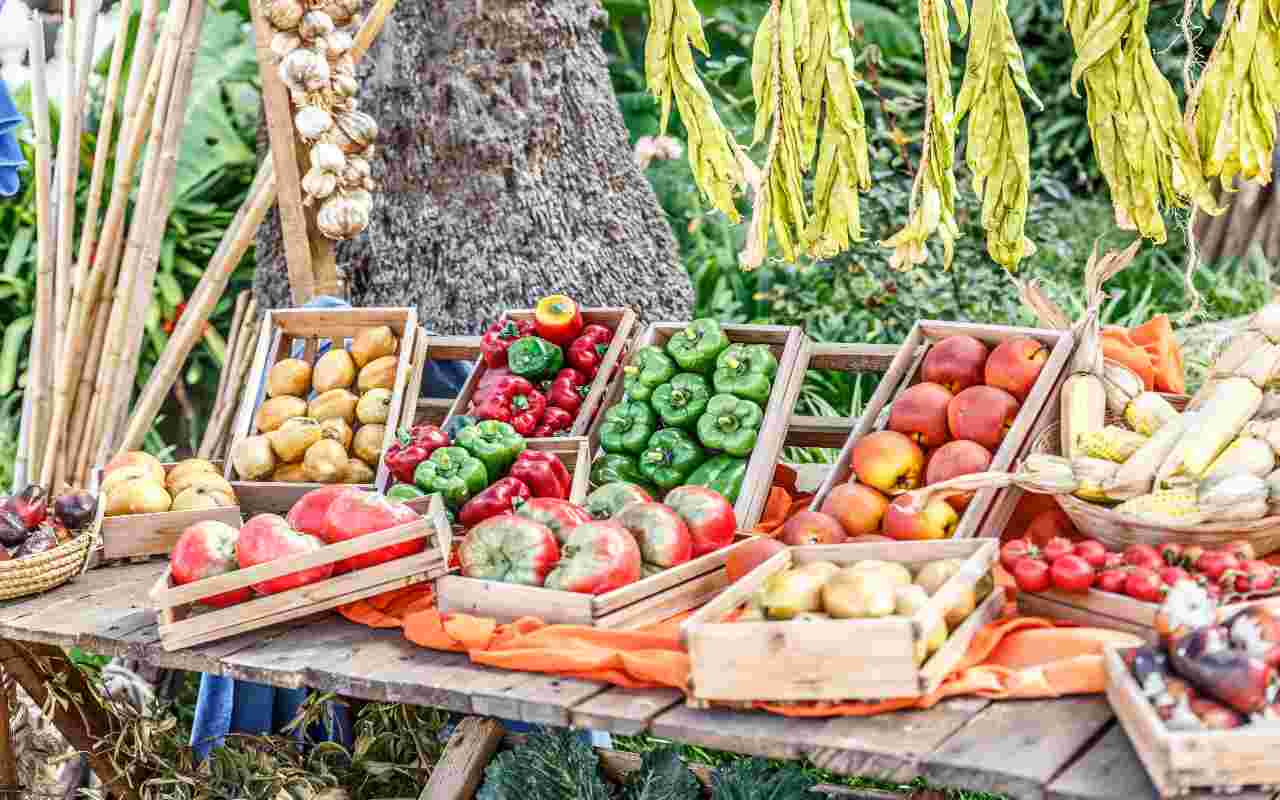 Conservare correttamente frutta e verdura